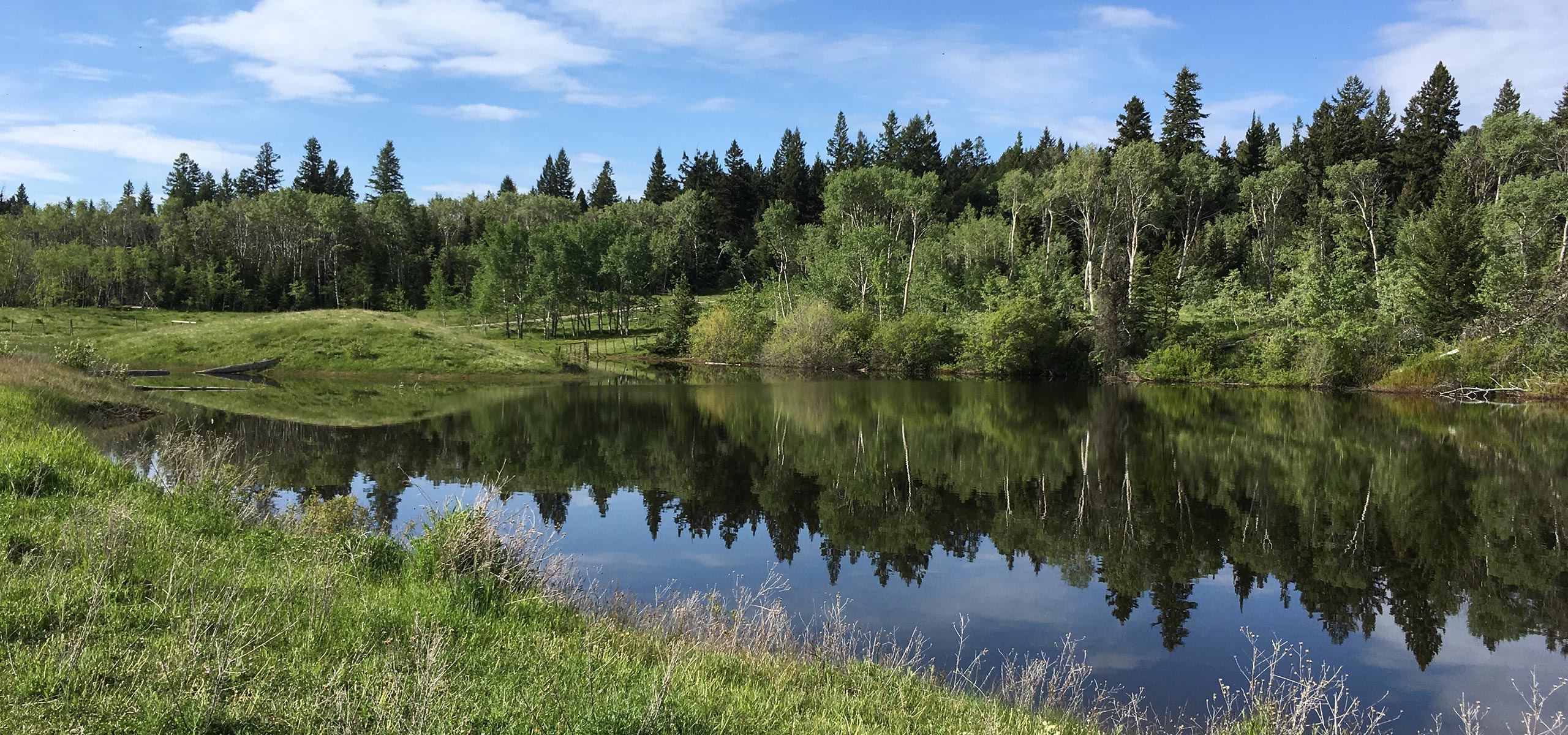 photo representing organization