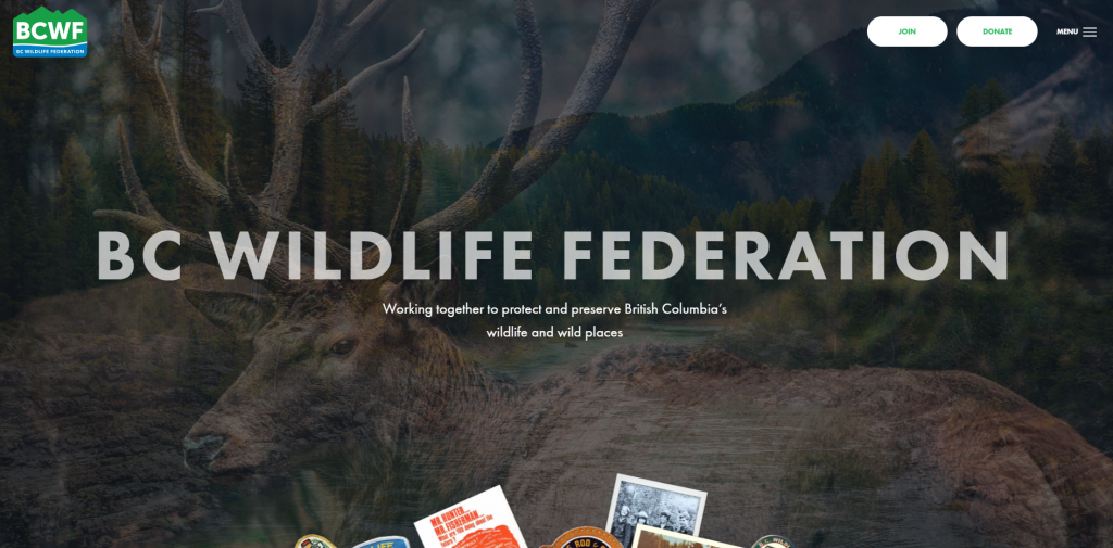 B.C. Wildlife Federation | Donate Or Become A Member Today