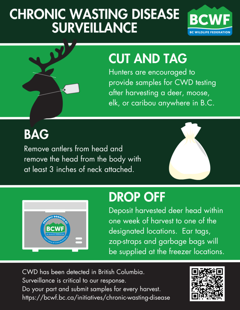 Chronic Wasting Disease | B.C. Wildlife Federation