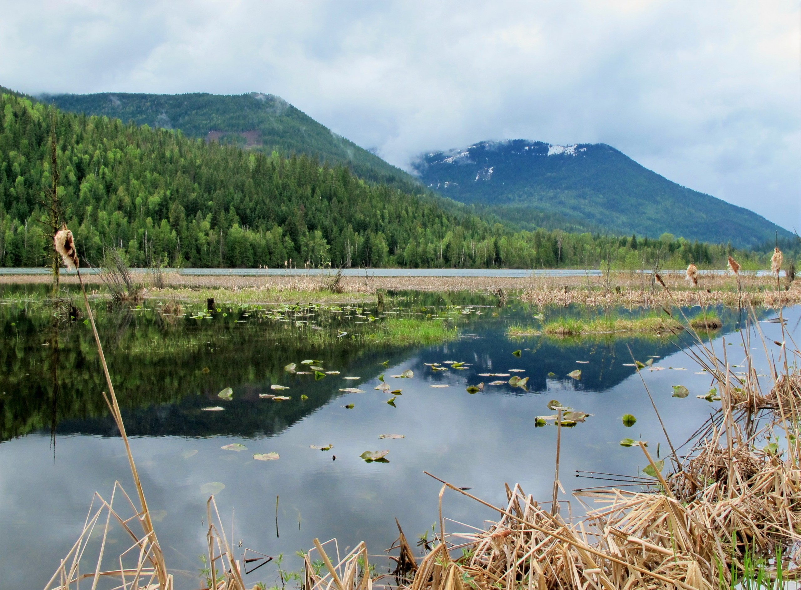 BC Watershed Security Coalition & BCWF Celebrate B.C. Government's ...