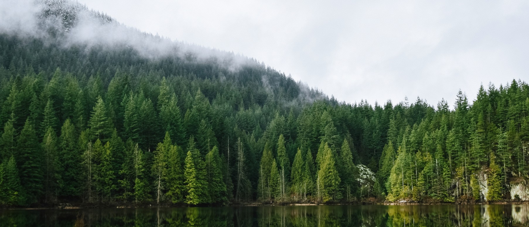 photo representing organization