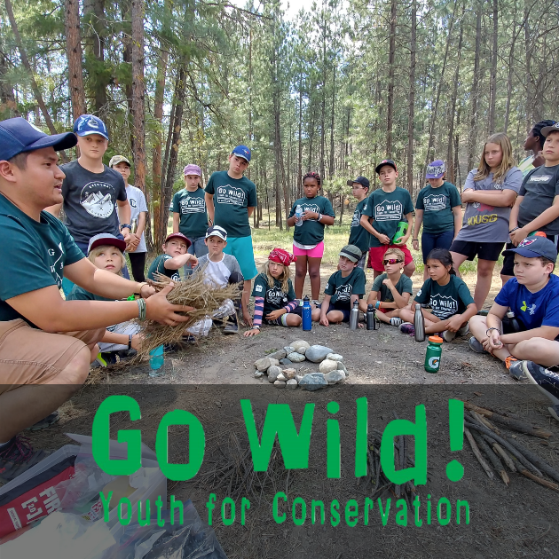 Youth Camps | B.C. Wildlife Federation