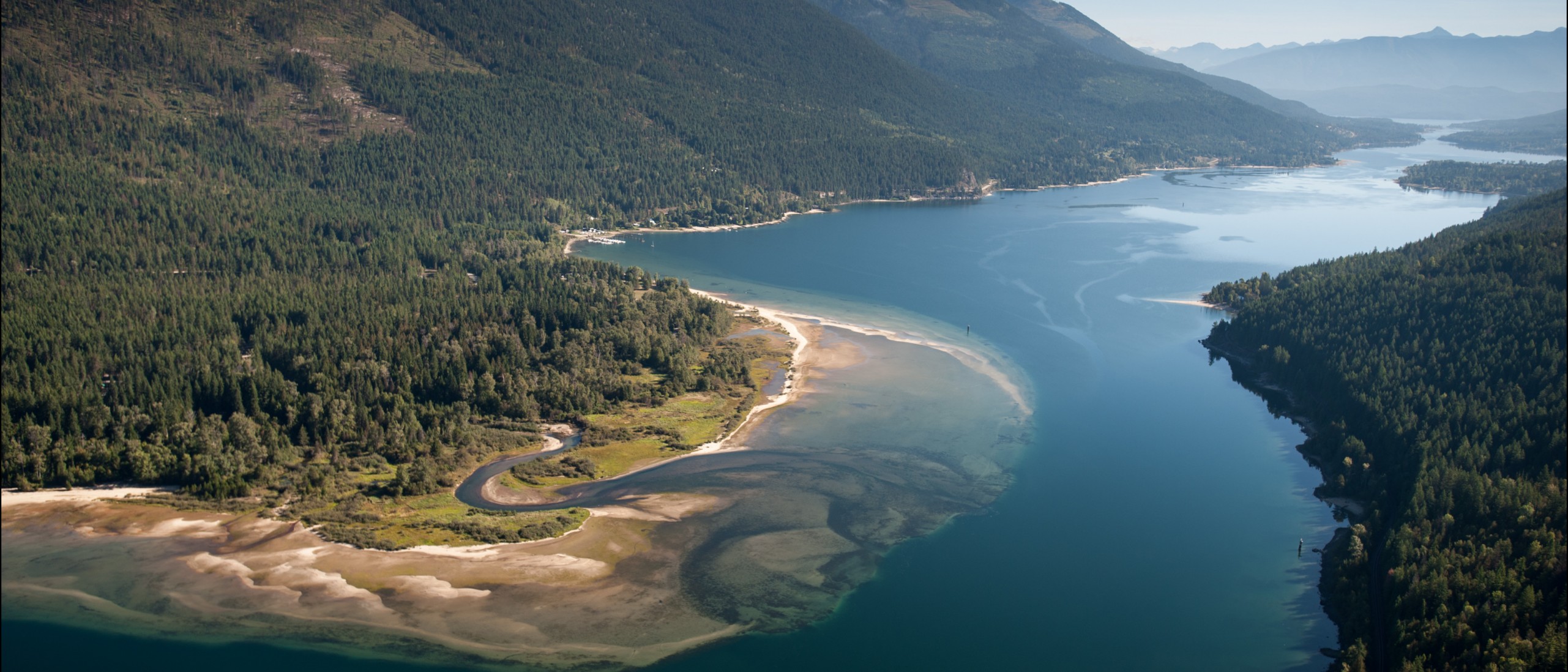 Kootenay Lake fishery should be fixed in less than a decade | B.C ...