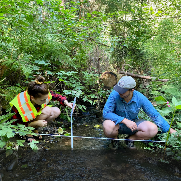 Fish Habitat Restoration & Education Program | BC Wildlife Federation