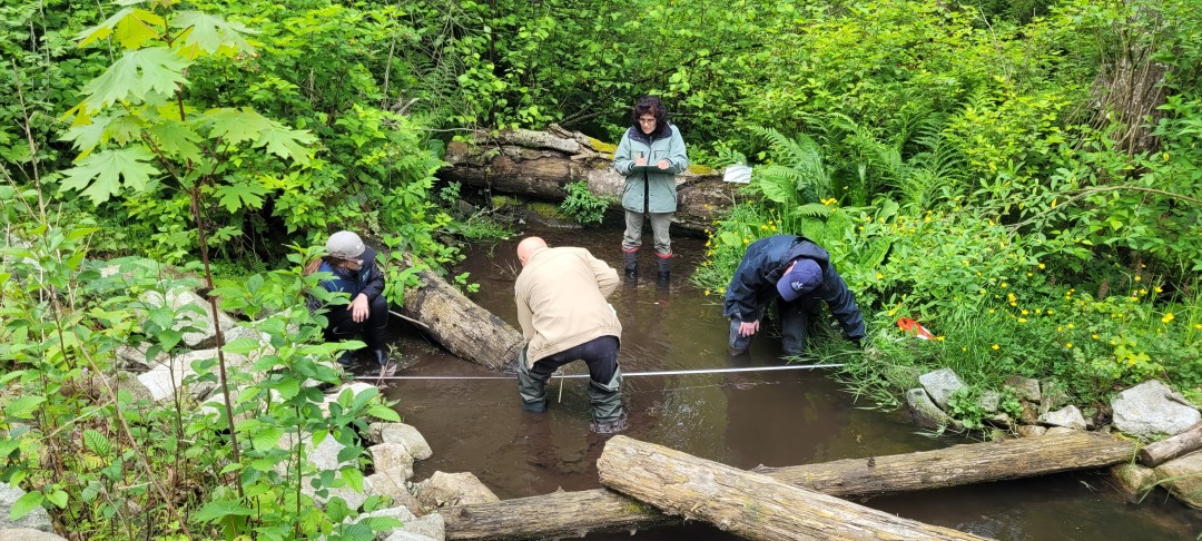 Jumpstart your organizational knowledge with a free workshop on fish ...