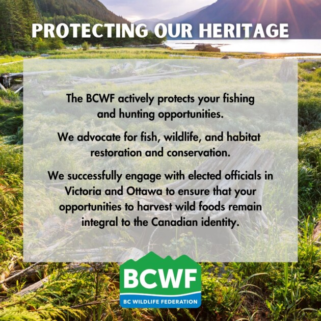 Become A Member | BC Wildlife Federation Membership